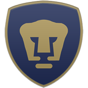 휴스턴 로키츠 엠블럼