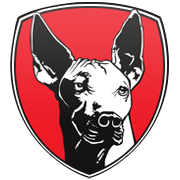 시카고 불스 엠블럼